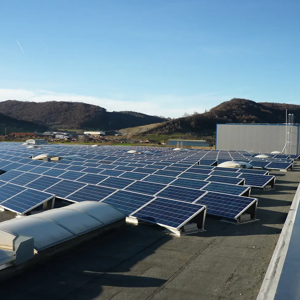 Solar Panels for Sustainability